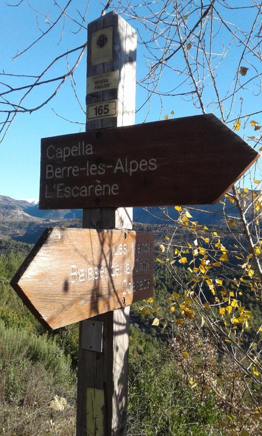 Logis Hotel Beausejour Berre-des-Alpes Eksteriør billede
