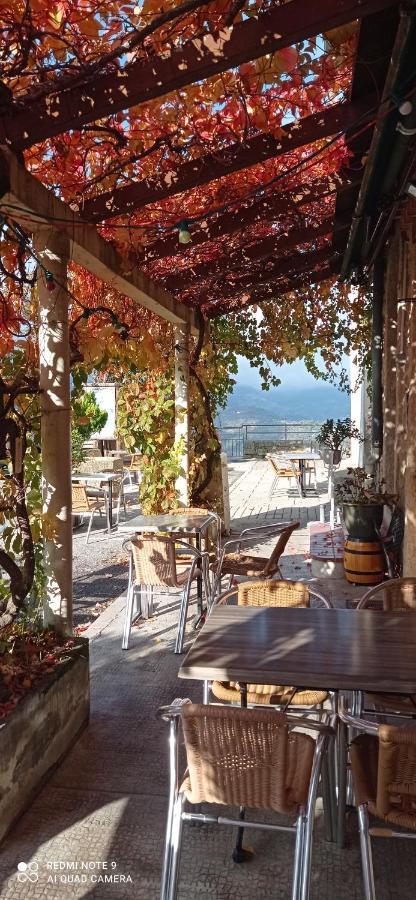 Logis Hotel Beausejour Berre-des-Alpes Eksteriør billede